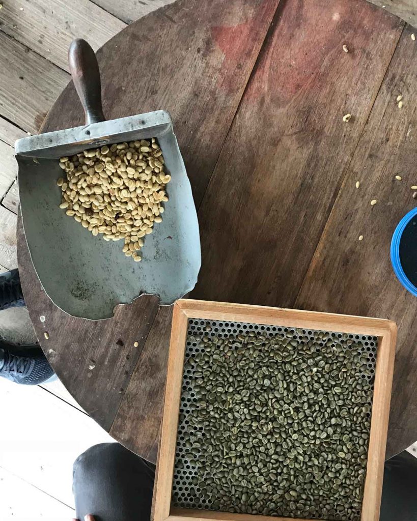 Rare & Exotic: Colombia - San Jose Heirloom